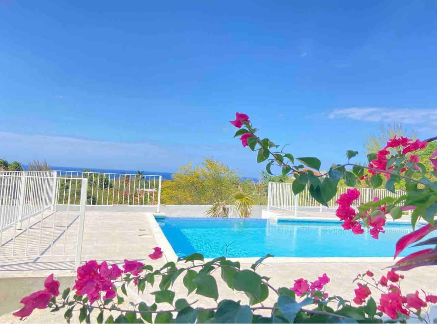 77002edb 5528 4ac6 a1f1 14e5a21b7896.jpg