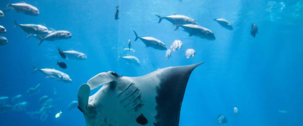 b37a2b36 0a77 468b 8270 448ac75f9ddf.jpg