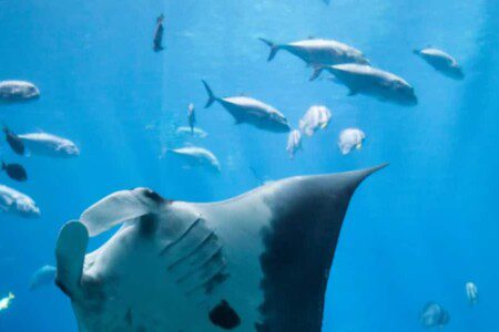 b37a2b36 0a77 468b 8270 448ac75f9ddf.jpg