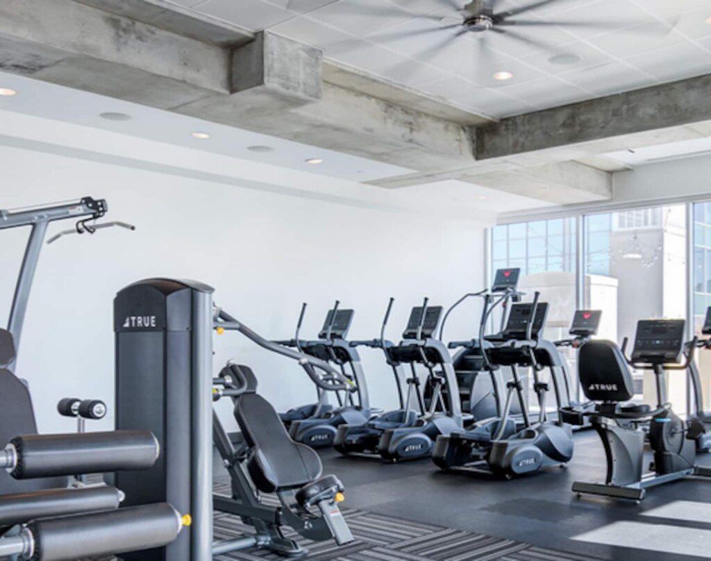 bf7a477c 5560 4250 827d 66f3a2ef47b0.jpg