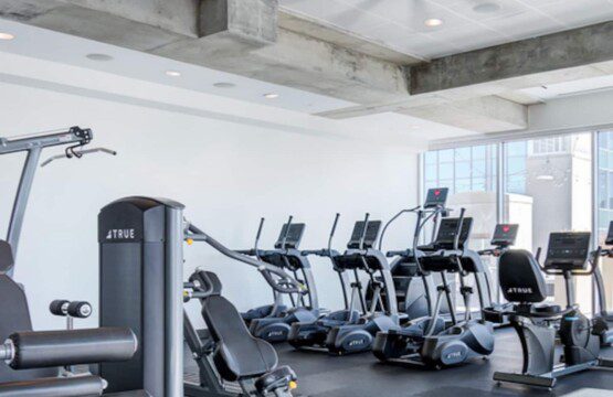 bf7a477c 5560 4250 827d 66f3a2ef47b0.jpg