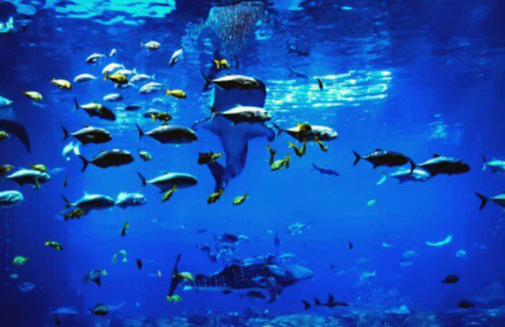 edc3d284 2c2a 40a6 9fc7 199b20e793e2